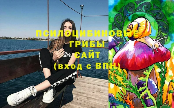 метамфетамин Гусев