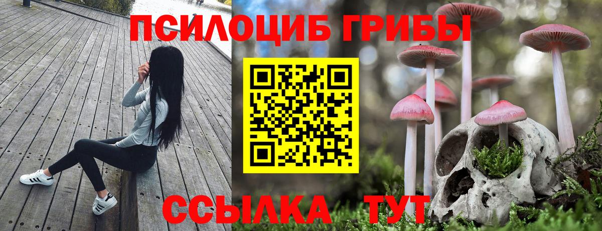 купить   Вход с VPN  Можайск  Псилоцибиновые грибы прущие грибы 