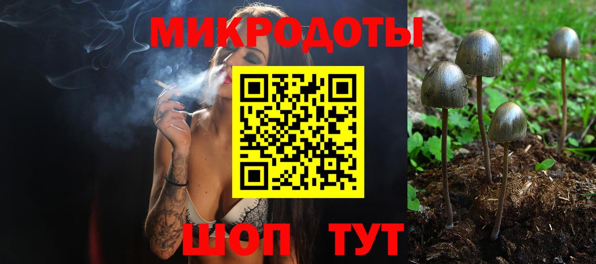 Галлюциногенные грибы Cubensis Можайск